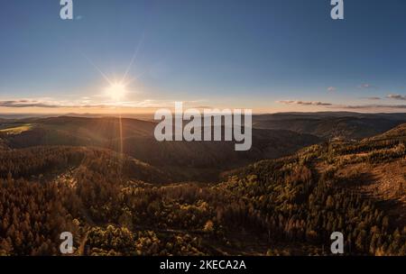 Deutschland, Thüringen, Großbreitenbach, Kreis Neustadt am Rennsteig, bei Kahlert, Landschaft am Rennsteig, teils tote Bäume, niedrige Sonne, Hinterlicht, Luftaufnahme Stockfoto