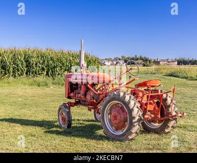 Ein alter roter formeller Super-Traktor, der am Rand eines Maisfeldes sitzt Stockfoto