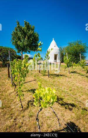 Shatchi Sonnenschirm 3m Mit Kreuzfuß – 360° Drehbar Für Garten & Terrasse