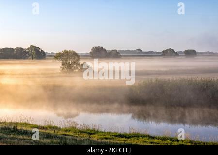 Bodennebel über der Elblandschaft bei Bleckede am frühen Morgen Stockfoto