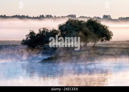 Bodennebel über der Elblandschaft bei Bleckede am frühen Morgen Stockfoto