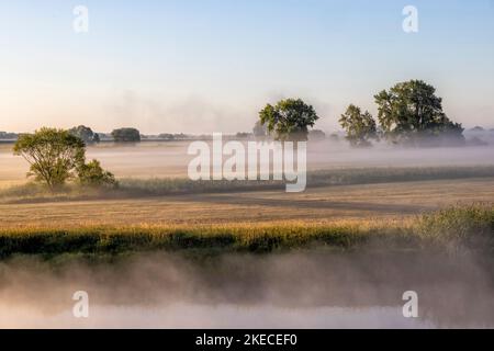 Bodennebel über der Elblandschaft bei Bleckede am frühen Morgen Stockfoto