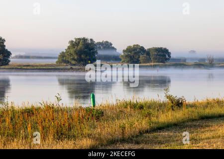 Bodennebel über der Elblandschaft bei Bleckede am frühen Morgen Stockfoto