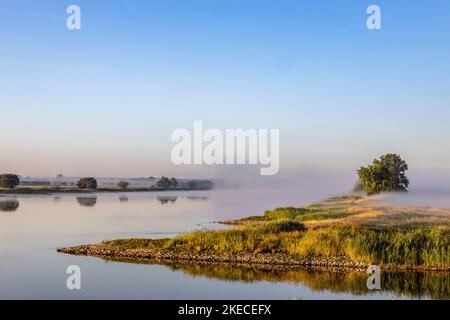 Bodennebel über der Elblandschaft bei Bleckede am frühen Morgen Stockfoto