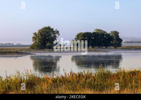 Bodennebel über der Elblandschaft bei Bleckede am frühen Morgen Stockfoto