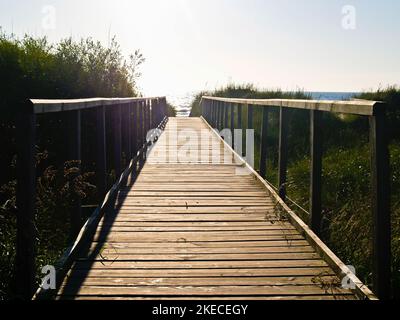 Holzsteg durch Dünen und Vegetation zum Strand in St Andrews, Schottland. Stockfoto