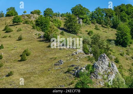 Wanderweg zum Aussichtspunkt am Schachenberg. Vom Schachenberg hat man einen weiten Blick über Bichishausen und das große Lautertal. Stockfoto