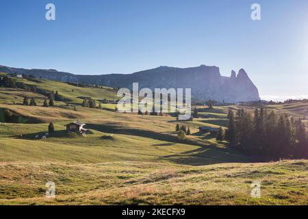 Seiser Alm im Abendlicht, im Hintergrund der Schlern Stockfoto