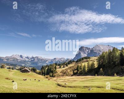 Seiser Alm mit Blick in Richtung Langkofel und Langkofel Stockfoto