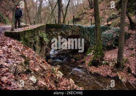 Binger Wald, Deutschland - 2. Januar 2021: Mann steht an einem Wintertag auf einem Wanderweg, der über eine Brücke über einen kleinen Bach führt, in den Binger Fores Stockfoto