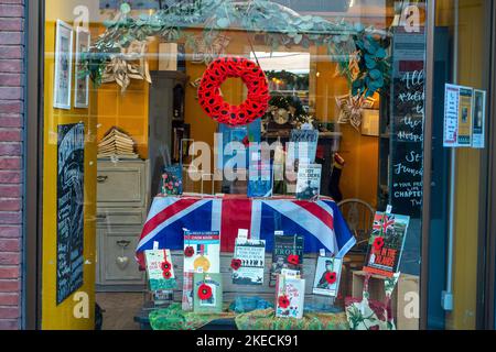 Chesham, Buckinghamshire. VEREINIGTES KÖNIGREICH. 11. November 2022. Eine farbenfrohe Erinnerungsdarstellung in einem Buchladen-Fenster in Chesham. Quelle: Maureen McLean/Alamy Live News Stockfoto