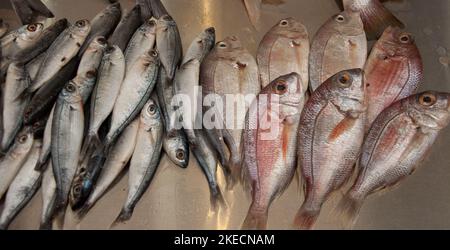 Fisch, Fischstand, Souk Von Tripolis, Tripolis, Libanon. Als einer der größten Märkte (Souks) im Libanon verkauft der Souk in Tripolis alles, was man braucht. Stockfoto