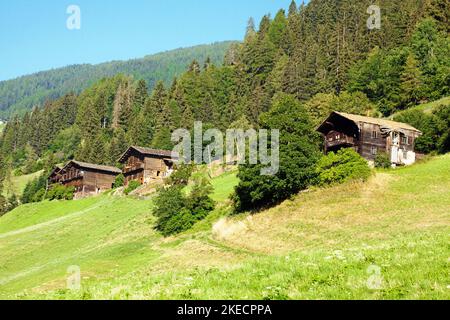 Berghof am steilen Berghang in den Bergwiesen im Südtiroler Ultental Stockfoto