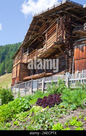 Gemüsegarten vor dem Stall eines Berghofs im Südtiroler Ultental Stockfoto