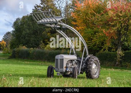 Otzberg, Hessen, Deutschland, Massey-Ferguson TEF 20 Traktor. Hubraum 2092 ccm, 27 ps. Baujahr 1956 Stockfoto