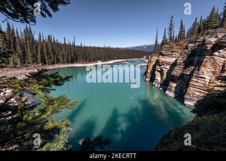 Athabasca Canyon am späten Nachmittag im Jasper National Park, Kanada Stockfoto