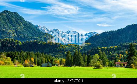 Idyllische Berglandschaft bei Oberstdorf an einem sonnigen Herbsttag. Grüne Wiesen, Wälder und schneebedeckte Berge unter blauem Himmel. Allgäuer Alpen, Bayern, Deutschland, Europa Stockfoto
