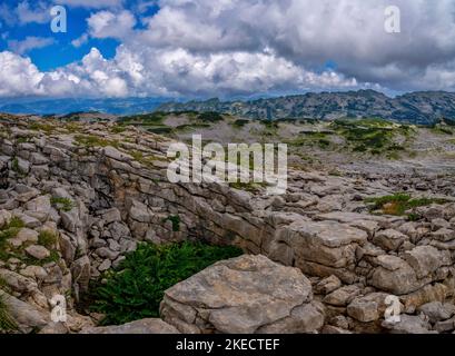 Auf dem Gottesackerplateau unterhalb des Hohen Ifen in den Allgäuer Alpen. Stockfoto