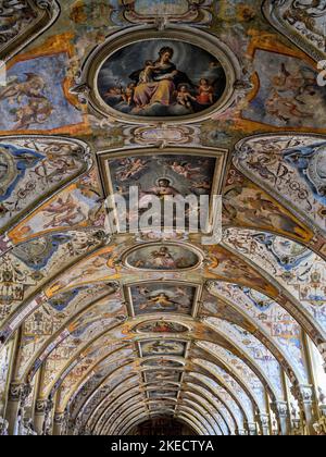 Antiquarium, größte Renaissance-Halle nördlich der Alpen in der Münchner Residenz. Stockfoto