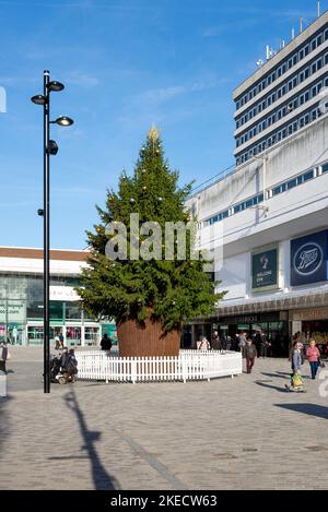 Weihnachtsbaum in der High Street Shopping plaza. Southend on Sea, High Street. Neue Stadt in Essex. Fußgängerzone mit Geschäften. Käufer Stockfoto