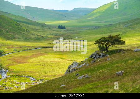 Die kambrischen Berge von Mid Wales sind ein wildes und abgelegenes Gebiet Stockfoto
