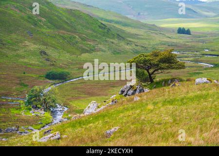 Die kambrischen Berge von Mid Wales sind ein wildes und abgelegenes Gebiet Stockfoto