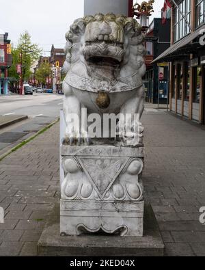 Chinatown Löwenstatue in Vancouver, British Columbia, Kanada Stockfoto