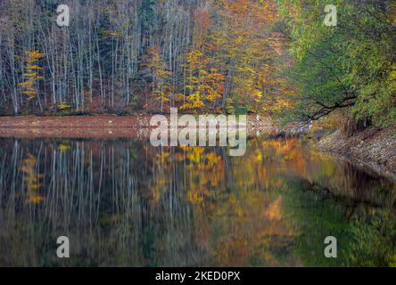 Gespiegelte Farben des Herbstwaldes. Das Foto wurde am 29.. Oktober 2022 auf dem Buhui-See im Kreis Caras-Severin, Rumänien, aufgenommen. Stockfoto