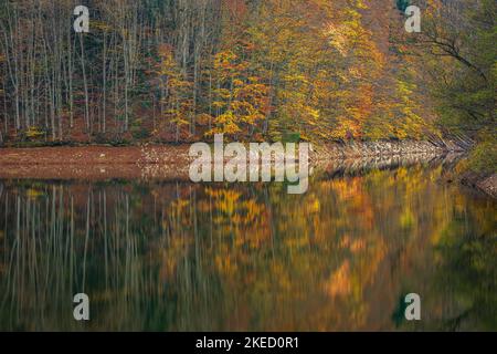 Gespiegelte Farben des Herbstwaldes. Das Foto wurde am 29.. Oktober 2022 auf dem Buhui-See im Kreis Caras-Severin, Rumänien, aufgenommen. Stockfoto