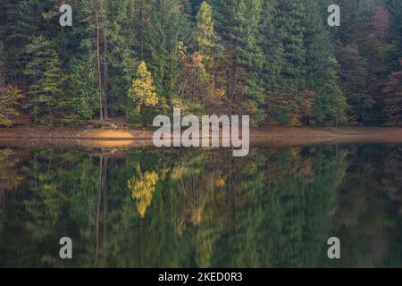 Gespiegelte Farben des Herbstwaldes. Das Foto wurde am 29.. Oktober 2022 auf dem Buhui-See im Kreis Caras-Severin, Rumänien, aufgenommen. Stockfoto