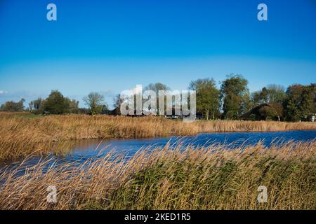 Der Weiler Nederland an der Grenze zum Nationalpark Weerribben-Wieden, Provinz Overijssel, Niederlande. Schilfbetten und ein Kanal im Vordergrund Stockfoto