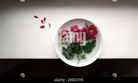 Blumen im Eis, gefrorene Blumen, Stillleben, Komposition, bildende Kunst Stockfoto