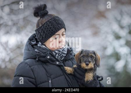 Frau mit drahthaarigen Dachshunds Puppy Stockfoto