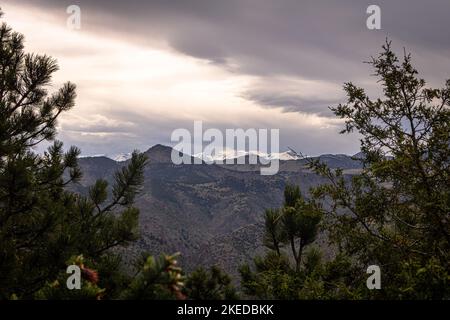 Draußen zu gehen ist großartig für die Seele und diese Sicht erinnert uns daran, warum. Hinter einigen Pinien aufgenommen, umrahmt das Foto einen der majestätischen Colorado mt. Stockfoto