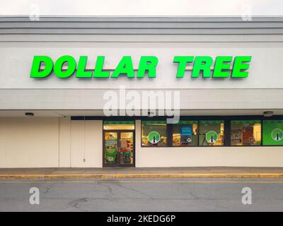 Whitesboro, New York - 17. Okt. 2022: Landschaftsansicht des Dollar Tree Storefront aus nächster Nähe. Dollarbaum ist ein US Discount Store, der bisher nur unter dem Namen $1 bekannt war. Stockfoto