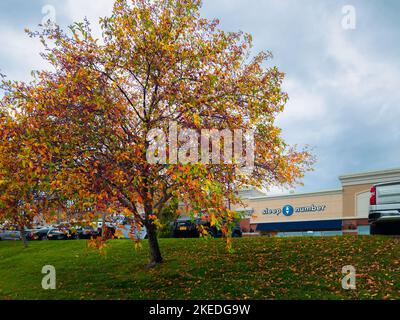 New Hartford, New York - 19. Okt 2022: Landschaft weite Herbstansicht von Sleep Number Storefront. Stockfoto