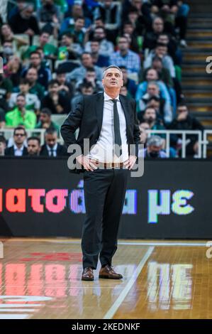 Athen, Lombardei, Griechenland. 11.. November 2022. Chefcoache von Panathinaikos DEJAN RADONJIC während der Euroleague, Runde 7, Spiel zwischen Panathinaikos Athens und Cazoo Baskonia im OAKA Stadium am 11. November 2022 in Athen, Griechenland. (Bild: © Stefanos Kyriazis/ZUMA Press Wire) Stockfoto