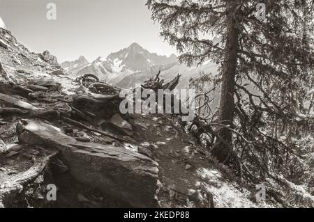 Die Gipfel von Aiguilles Verte und Petit Dru - Chamonix. Stockfoto