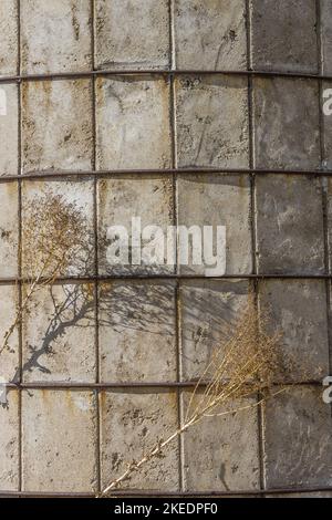 Ein Detail eines altmodischen Silos aus Betonblöcken mit getrocknetem Unkraut und Schatten auf seiner Oberfläche. Stockfoto