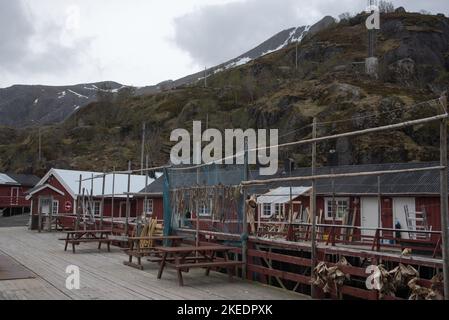 Nusfjord ist ein winziges und malerisches, aber sehr touristisches Fischerdorf auf dem Lofoten-Archipel in Nordland in Norwegen. Stockfoto