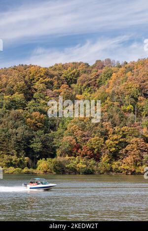 Die wunderschöne Insel Namiseom Nami am Han-Fluss in Südkorea während der Herbstsaison am 1. November 2022 Stockfoto