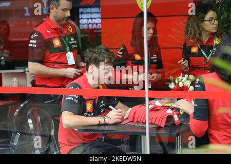 Sao Paulo, Brasilien . 10.. November 2022. SAO PAULO, Brasilien, 10. November 2022; Kredit: SPP Sport Pressefoto. /Alamy Live News Stockfoto