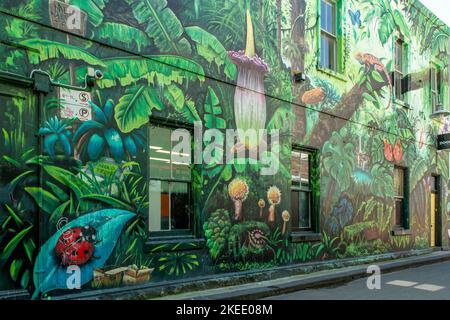 Nature Street Art von Makatron, Melbourne, Victoria, Australien Stockfoto