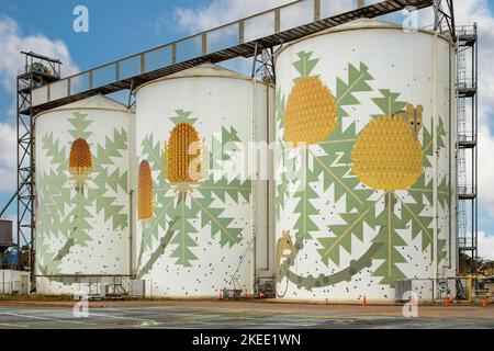 Banksia Silo Art, Ravensthorpe, WA, Australien Stockfoto