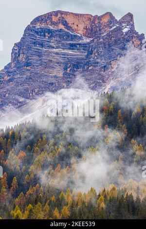 Niedrige Wolken hängen zwischen den Bergen und Wäldern mit den Herbstfarben des Oktober zwischen Cortina d'Ampezzo und San Vito di Cadore in der Provinz Stockfoto