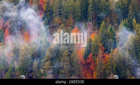 Niedrige Wolken und Nebel hängen zwischen den Bergen und Wäldern mit den Herbstfarben des Oktober, wie man es zwischen Cortina d'Ampezzo und San Vito di Cadore sieht, Stockfoto