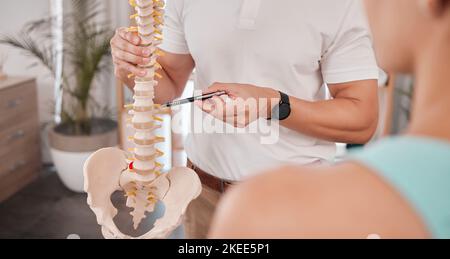 Wirbelsäulenmodell, Gesundheitswesen und Chiropraktiker mit Frau zur Beratung oder Behandlung Beratung. Physiotherapie, Wellness und Arzt mit Patient und Skelett Stockfoto