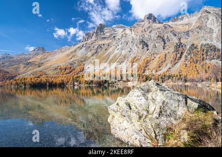 Der Sils-See im Herbst (Silsersee, Rätoromanisch: Lej da Segl), ein See im Oberengadiner Tal, Graubünden, Schweiz. Stockfoto
