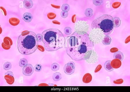 T-Zellen greifen mehrere Myelomzellen im Blutfluss an - Nahaufnahme Ansicht 3D Abbildung Stockfoto