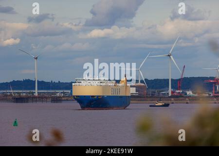 RoRo Morning Cornet auf dem Weg zum Meer Stockfoto